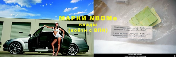 каннабис Инта