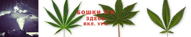 молекула духа Зерноград