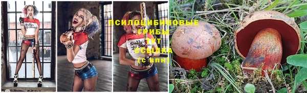 крисы Иннополис