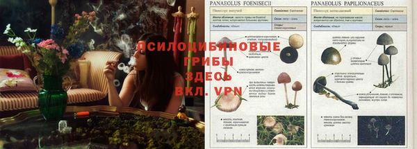 крисы Иннополис