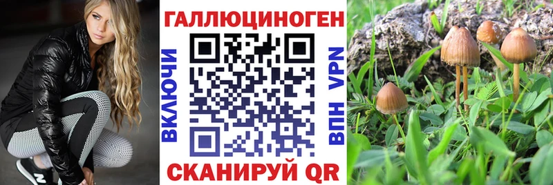 Купить  Тюкалинск  Галлюциногенные грибы GOLDEN TEACHER 